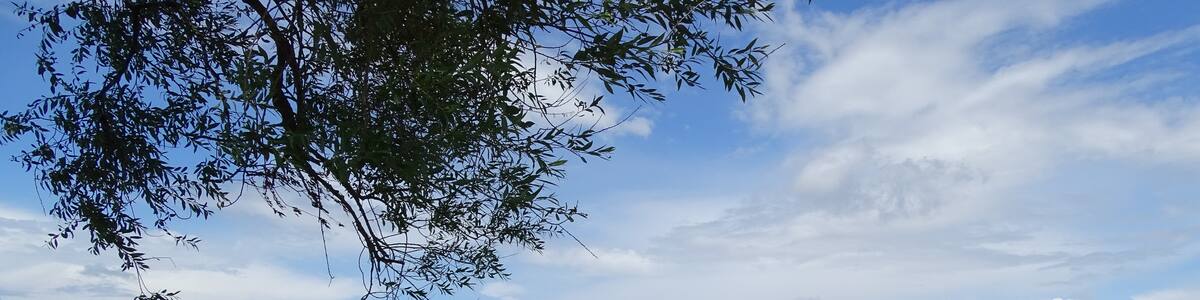 Photo "Wunstorf, Germany" by Foto Fitti (Creative Commons Attribution-Share Alike 3.0) / Cropped from original