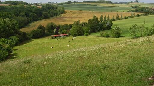 Foto “Pitton y Farley” tomada por Andrew Smith (CC BY-SA); recorte de la original