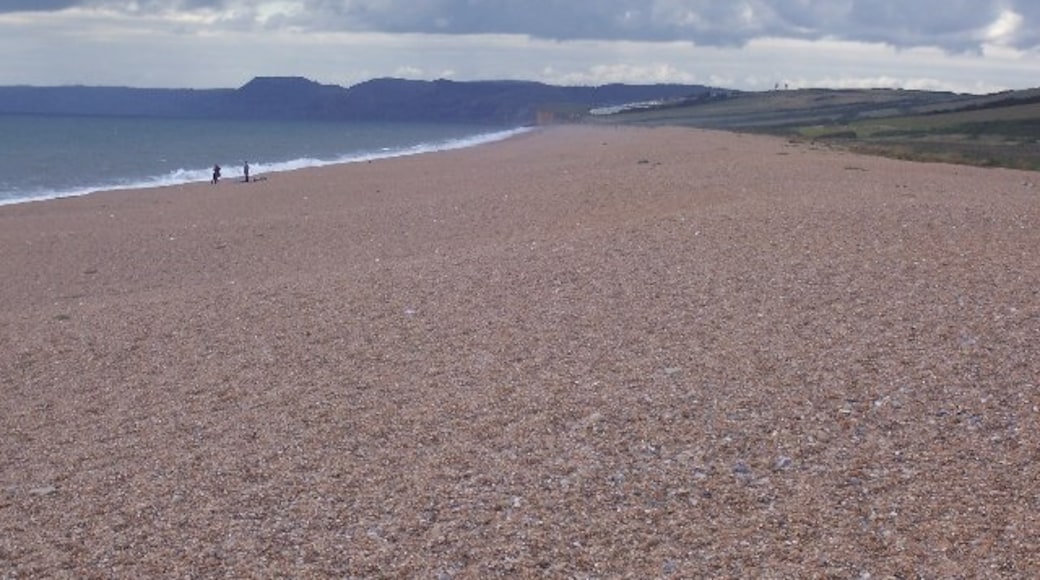 Photo "West Bexington Beach" by Steve Rigg (CC BY-SA) / Cropped from original