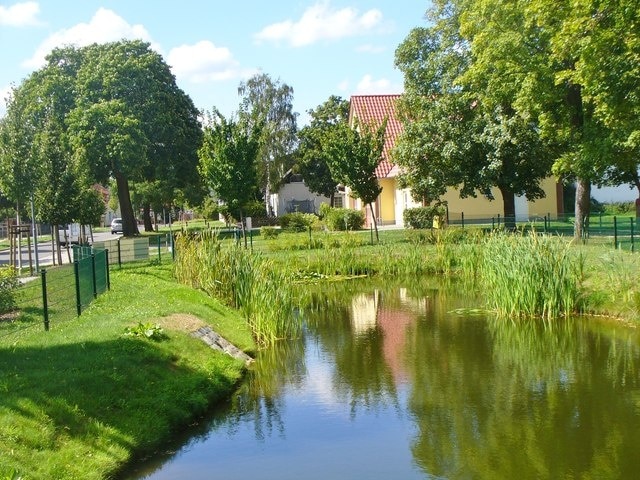 Kleinbeeren - Dorfteich (Village Pond)