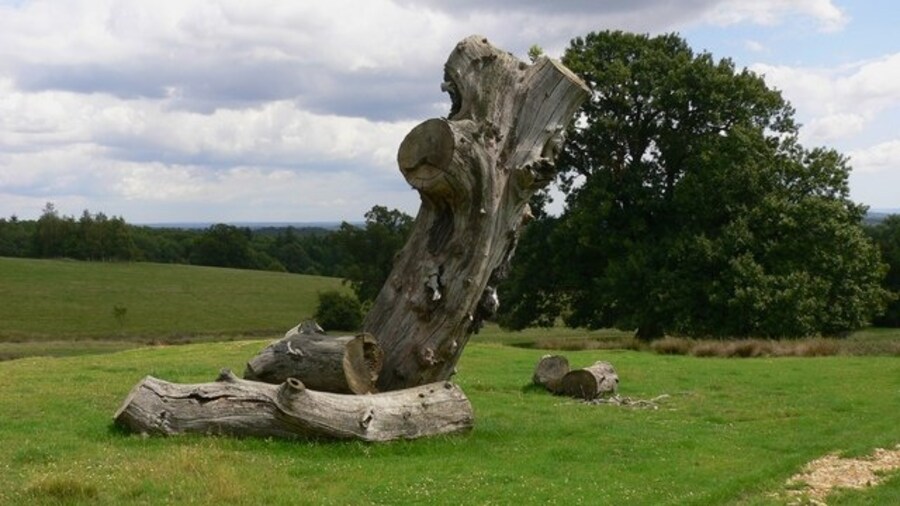 Photo "Almost natural sculpture in Blackdown Park" by Shazz (Creative Commons Attribution-Share Alike 2.0) / Cropped from original