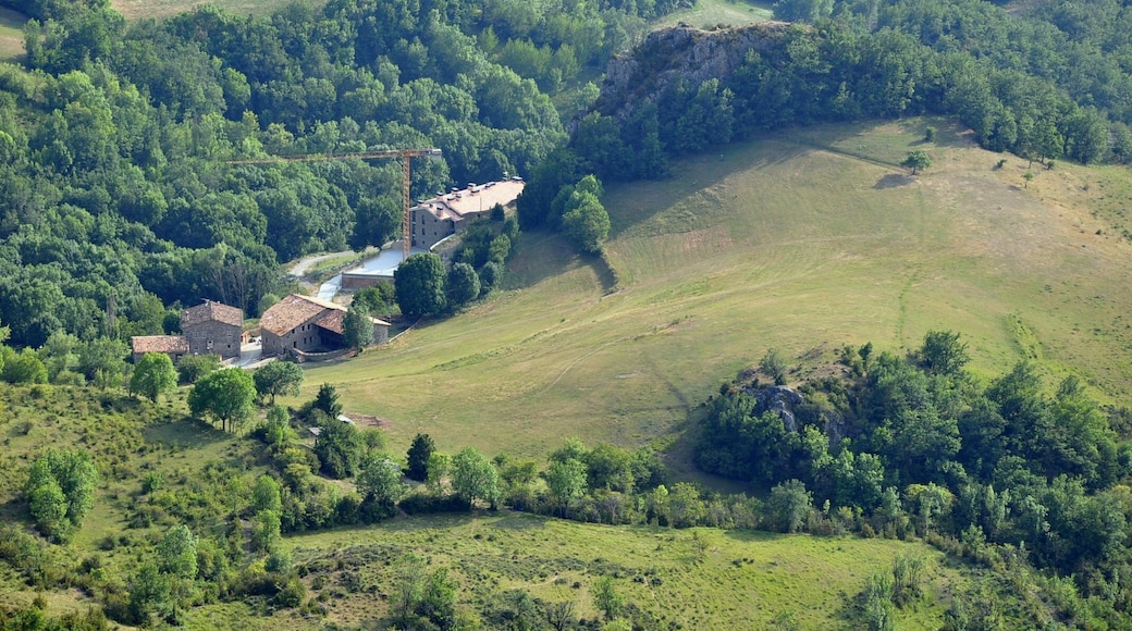 « Sarroqueta», photo de Vincent van Zeijst (CC BY-SA) / rognée de l’originale