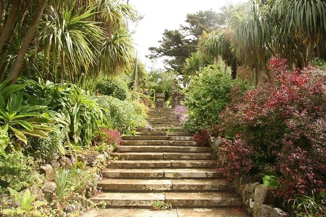 Tapeley Park rockery Palms, Yuccas and colourful borders flank the steps leading to the sundial through the rockery at Tapeley Park http://tapeley-park.co.uk/ the steps are reputedly made from surplus gravestones cut for First World War cemeteries