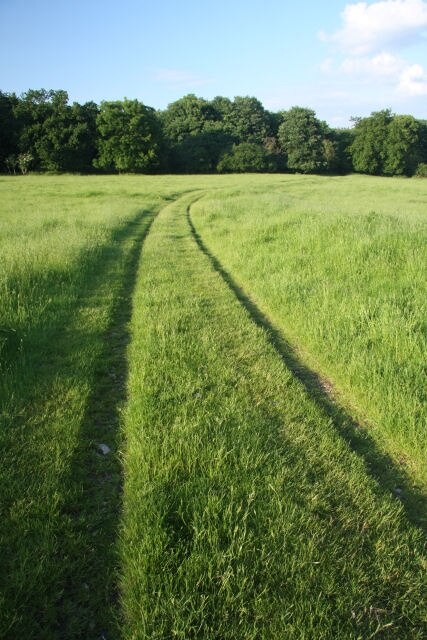 Ảnh "The Saxhams" của Bob Jones (CC BY-SA) / Cắt từ ảnh gốc