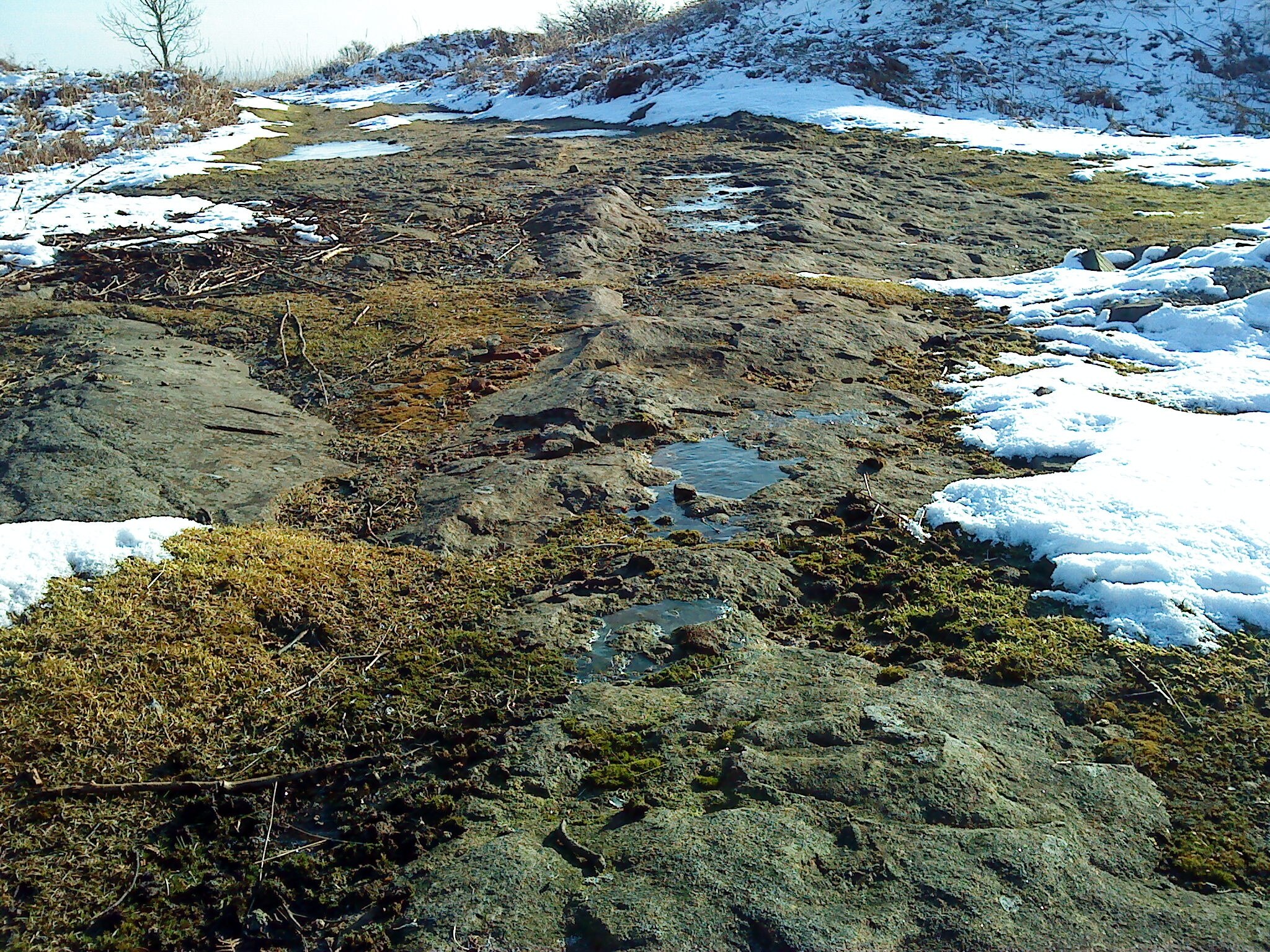 Foto “Skelding” tomada por Matthew Hatton (CC BY-SA); recorte de la original