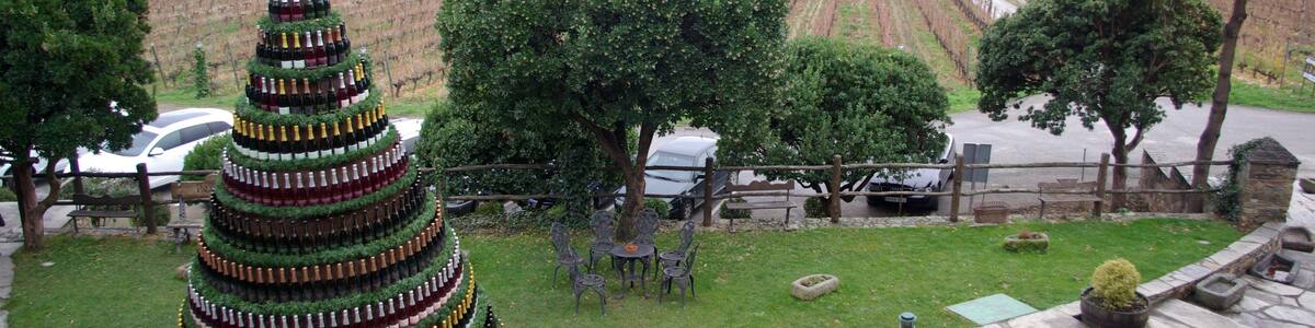 Photo "Canedo Palace: Christmas tree and vineyard, (Arganza, León, Spain)" by David Perez (Creative Commons Attribution 3.0) / Cropped from original