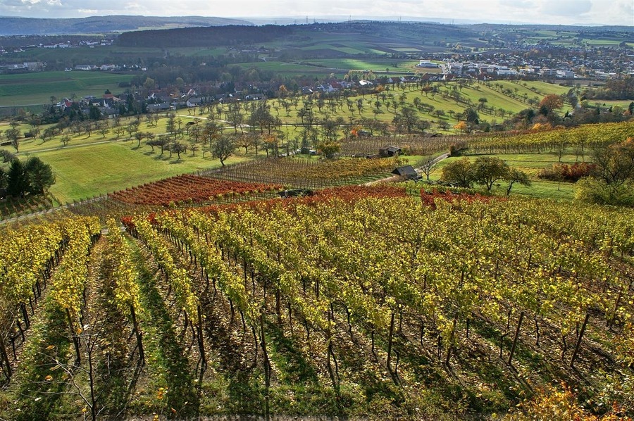 Ötisheim Blick von der Chartaque
