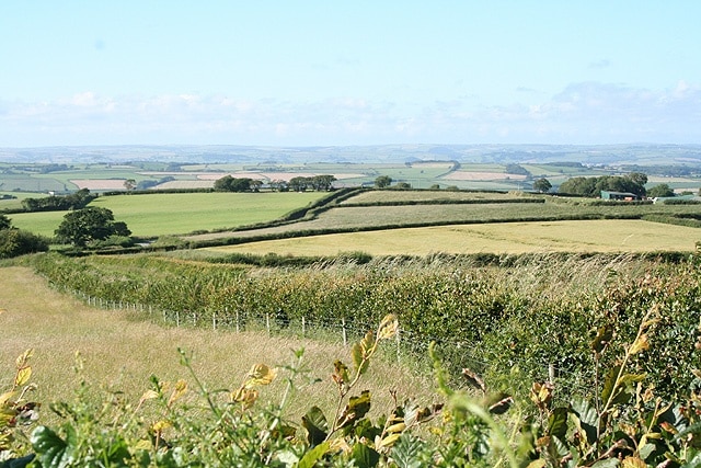 Yarnscombe: by Easton Moor Cross Looking north, slightly west of Boode, a farm out of shot to the right