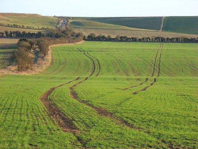 Foto “Compton Beauchamp” tomada por Andrew Smith (CC BY-SA); recorte de la original