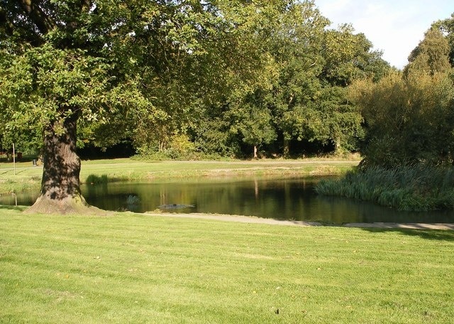 End of the lake in Middleton Park The "lake" is really a dammed up stream.