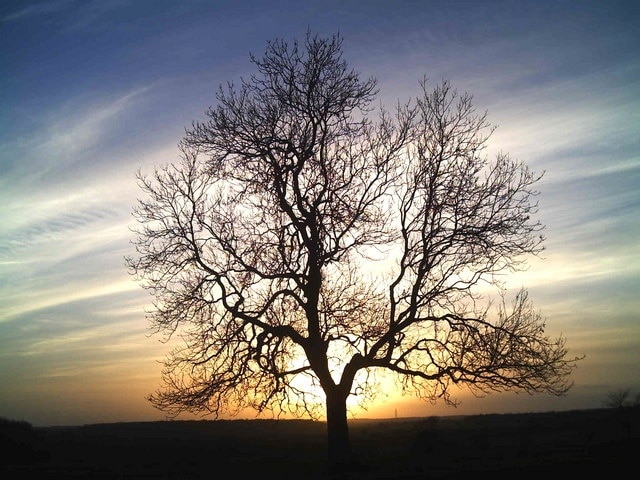 Foto “Witham en la Colina” tomada por Brian Green (CC BY-SA); recorte de la original