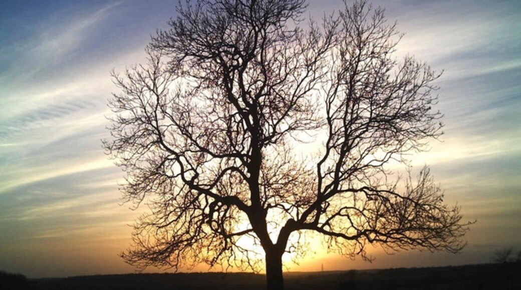 Foto „Witham auf dem Hügel“ von Brian Green (CC BY-SA)/zugeschnittenes Original