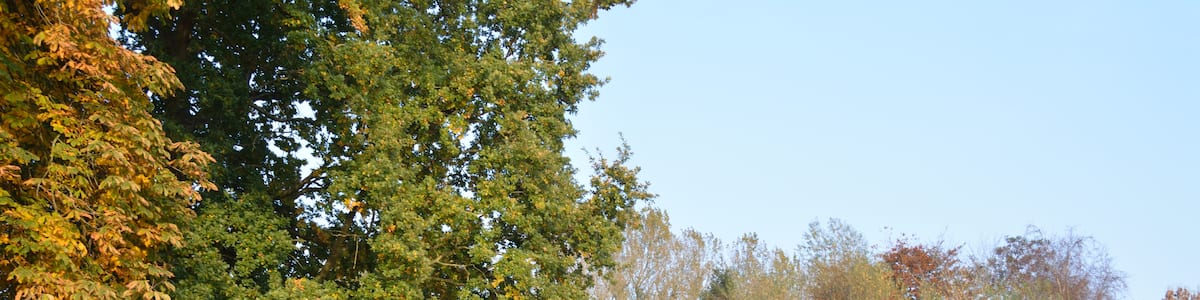 Photo "Die Störbrücke der Kreisstrasse 65 in Kellinghusen" by Nightflyer (Creative Commons Attribution-Share Alike 4.0) / Cropped from original
