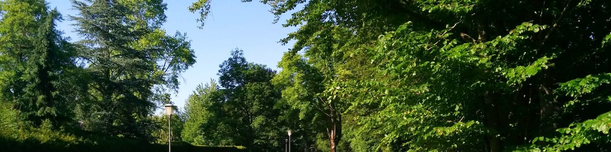 Photo "Bei Pullach - Isarhochufer" by Axel Schlaefer (Creative Commons Attribution-Share Alike 3.0) / Cropped from original