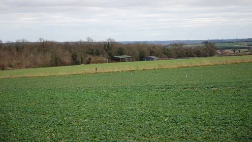 Foto „Tarrant Rushton“ von Toby (CC BY-SA)/zugeschnittenes Original