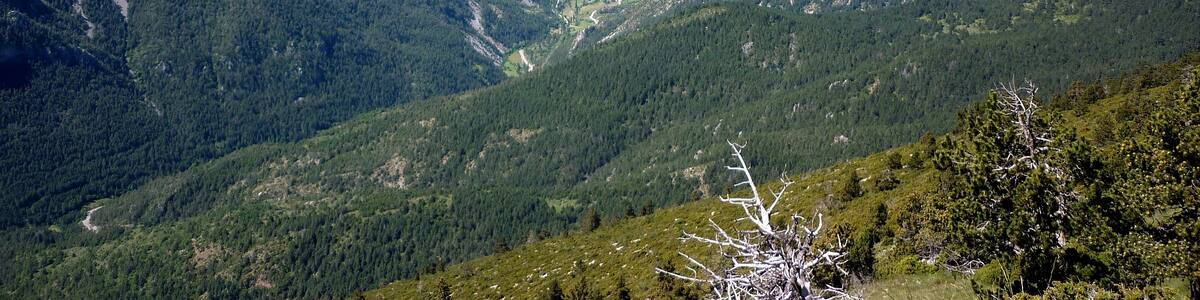 Photo "Tuixén i la Bòfia des del cim del Cadinell" by Isidre blanc (Creative Commons Attribution-Share Alike 3.0) / Cropped from original
