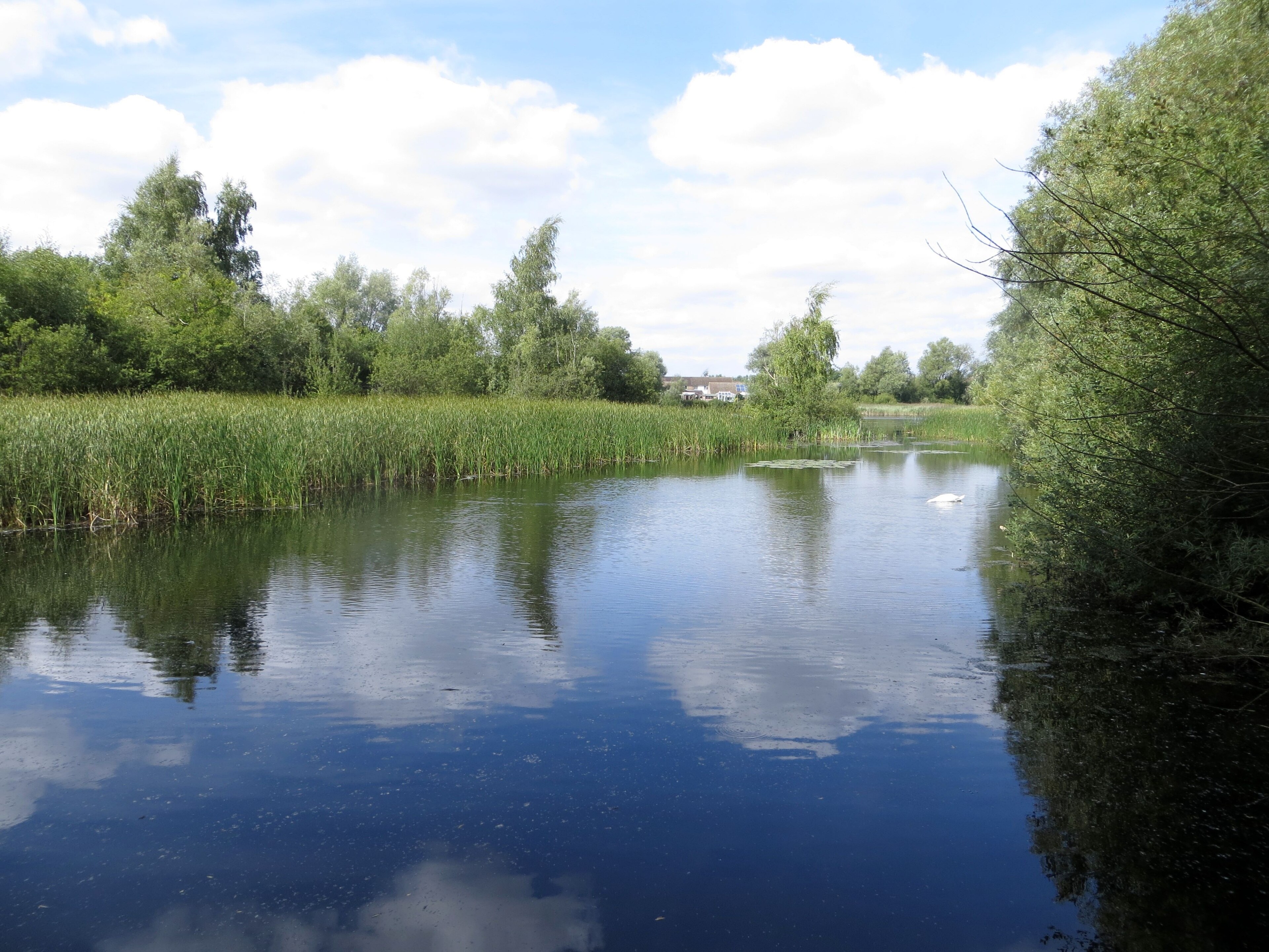 Foto “Little Paxton” tomada por Forester2009 (CC BY-SA); recorte de la original