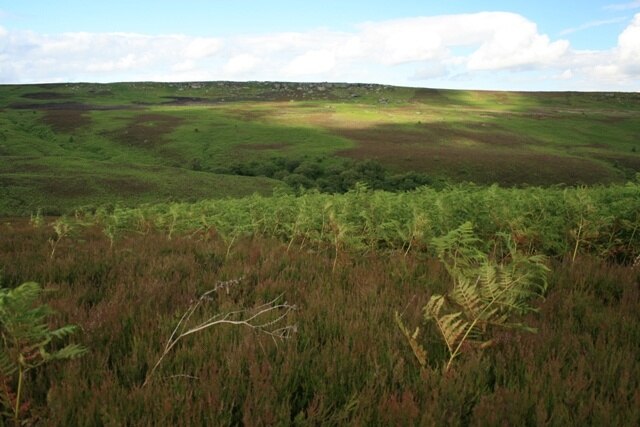 Foto “Colsterdale” tomada por Mick Garratt (CC BY-SA); recorte de la original