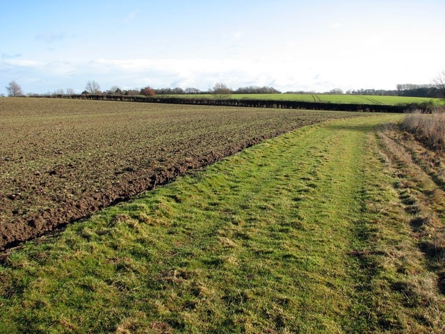 View east along a farm track The rural lane which connects the villages of Little Snoring and Thursford runs parallel with the hedgerow seen in the distance.