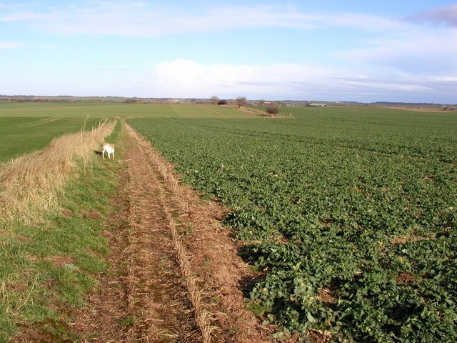 "Halsham"-foto av Andy Beecroft (CC BY-SA) / Urklipp från original