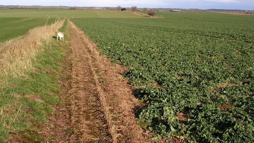 "Halsham"-foto av Andy Beecroft (CC BY-SA) / Urklipp från original