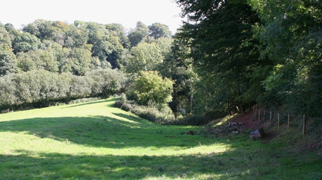 "Wellington Without"-foto av Martin Bodman (CC BY-SA) / Urklipp från original