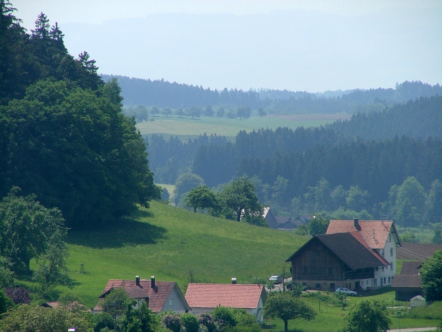 Ausblick