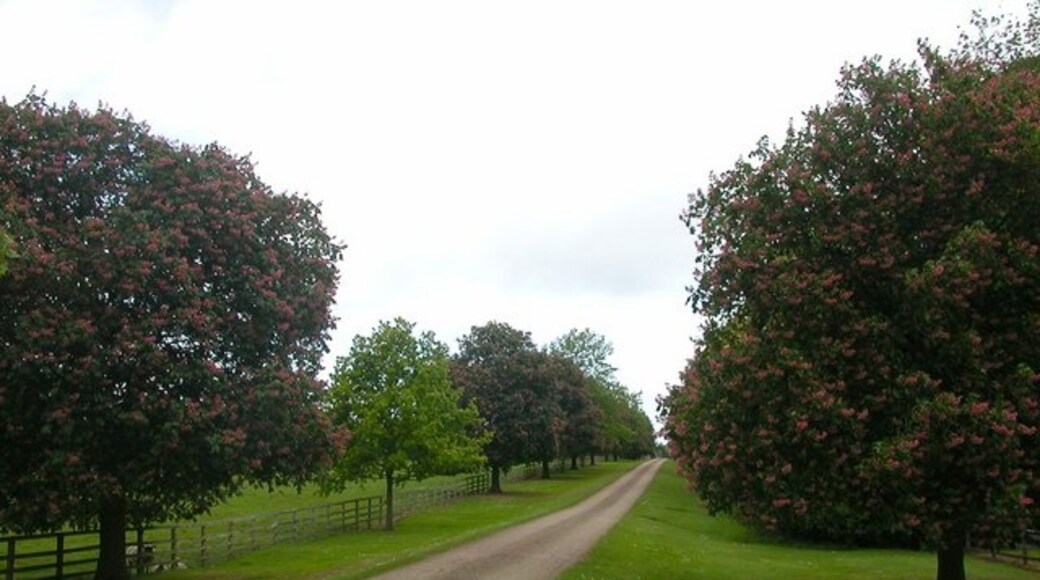 Foto “Easton Neston” tomada por Ian Rob (CC BY-SA); recorte de la original