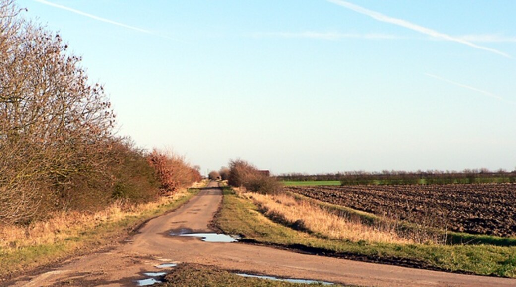 Kuva ”Stickney” käyttäjältä Ian Carrington (CC BY-SA) / rajattu alkuperäisestä kuvasta