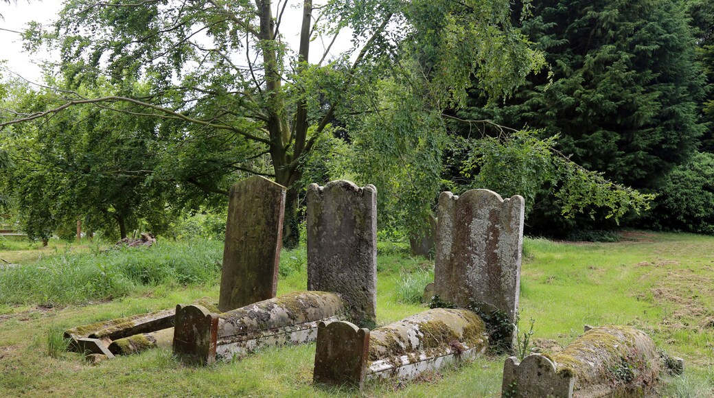 Kuva ”Mashbury” käyttäjältä Acabashi (CC BY-SA) / rajattu alkuperäisestä kuvasta