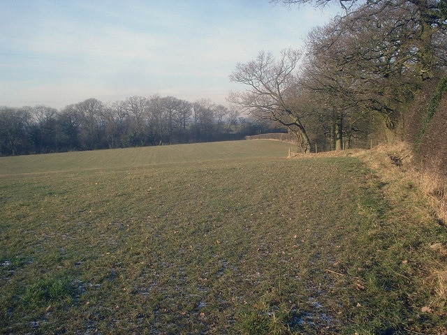 Photo "Bentley Pauncefoot" by Trevor Rickard (CC BY-SA) / Cropped from original