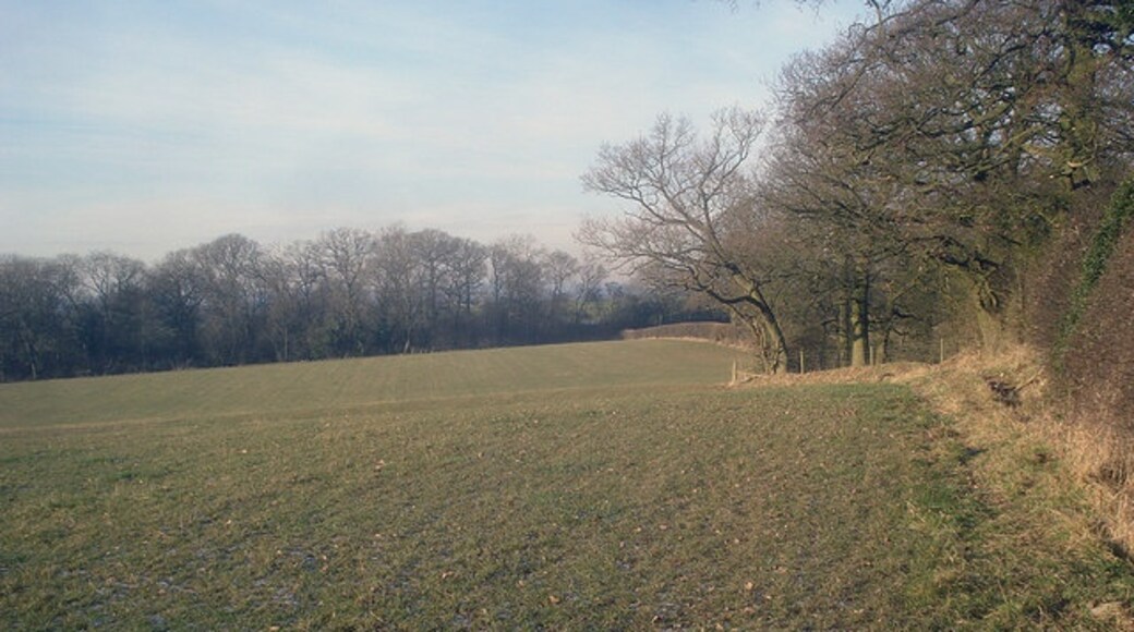 Photo "Bentley Pauncefoot" by Trevor Rickard (CC BY-SA) / Cropped from original