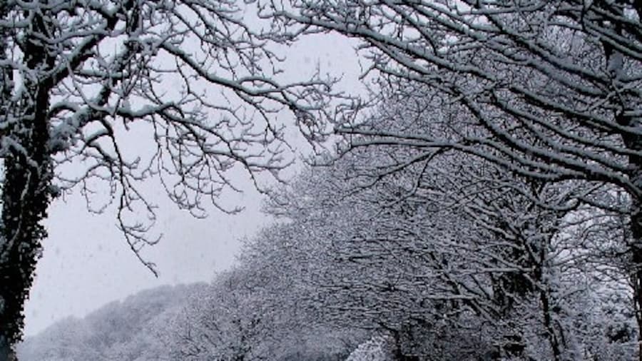 Photo "Snow in St. Columb. Snow in Cornwall is not very common, apart from on the high ground of Bodmin Moor, but we got our fair share on November 25th 2005." by Barry (Creative Commons Attribution-Share Alike 2.0) / Cropped from original