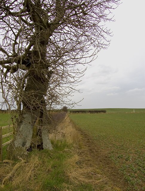 Ảnh "Halsham" của Paul Harrop (CC BY-SA) / Cắt từ ảnh gốc