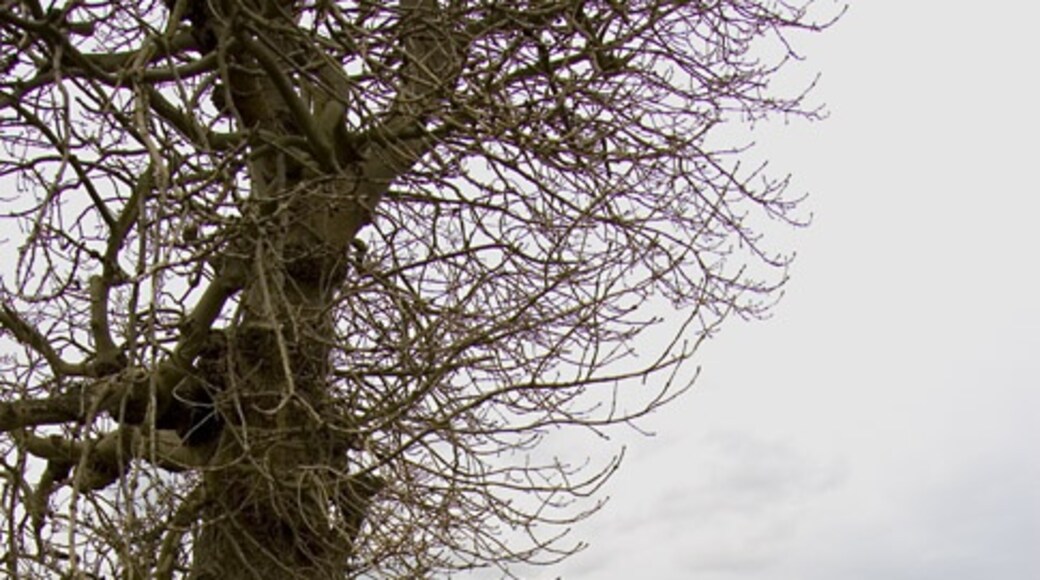 Ảnh "Halsham" của Paul Harrop (CC BY-SA) / Cắt từ ảnh gốc