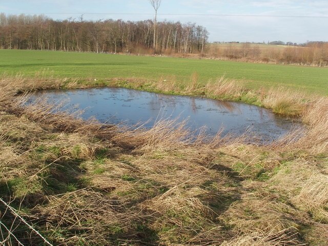 Billede "Wighill" af Robert Neilson (CC BY-SA) / beskåret fra det originale billede