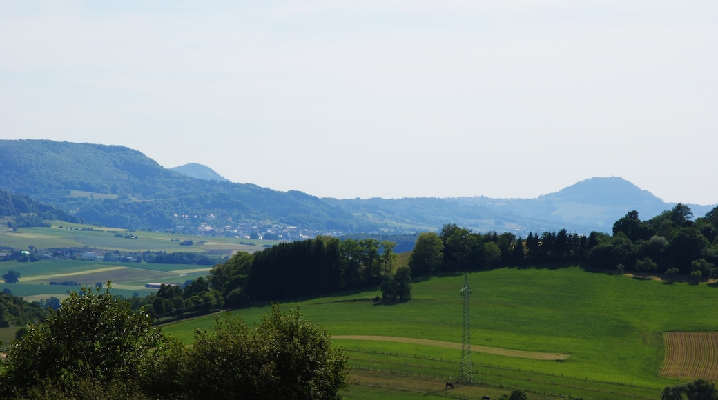 Photo "Aalen" by Clemens Pohl (CC BY-SA) / Cropped from original