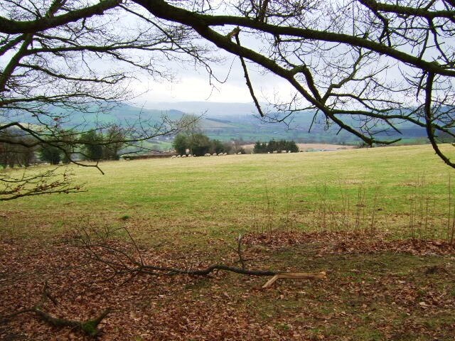 Photo "Colebatch" by John Poyser (CC BY-SA) / Cropped from original