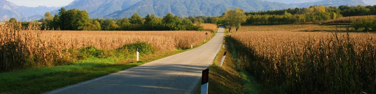 Photo "Bueriis, Italy" by undefined (Creative Commons Zero, Public Domain Dedication) / Cropped from original