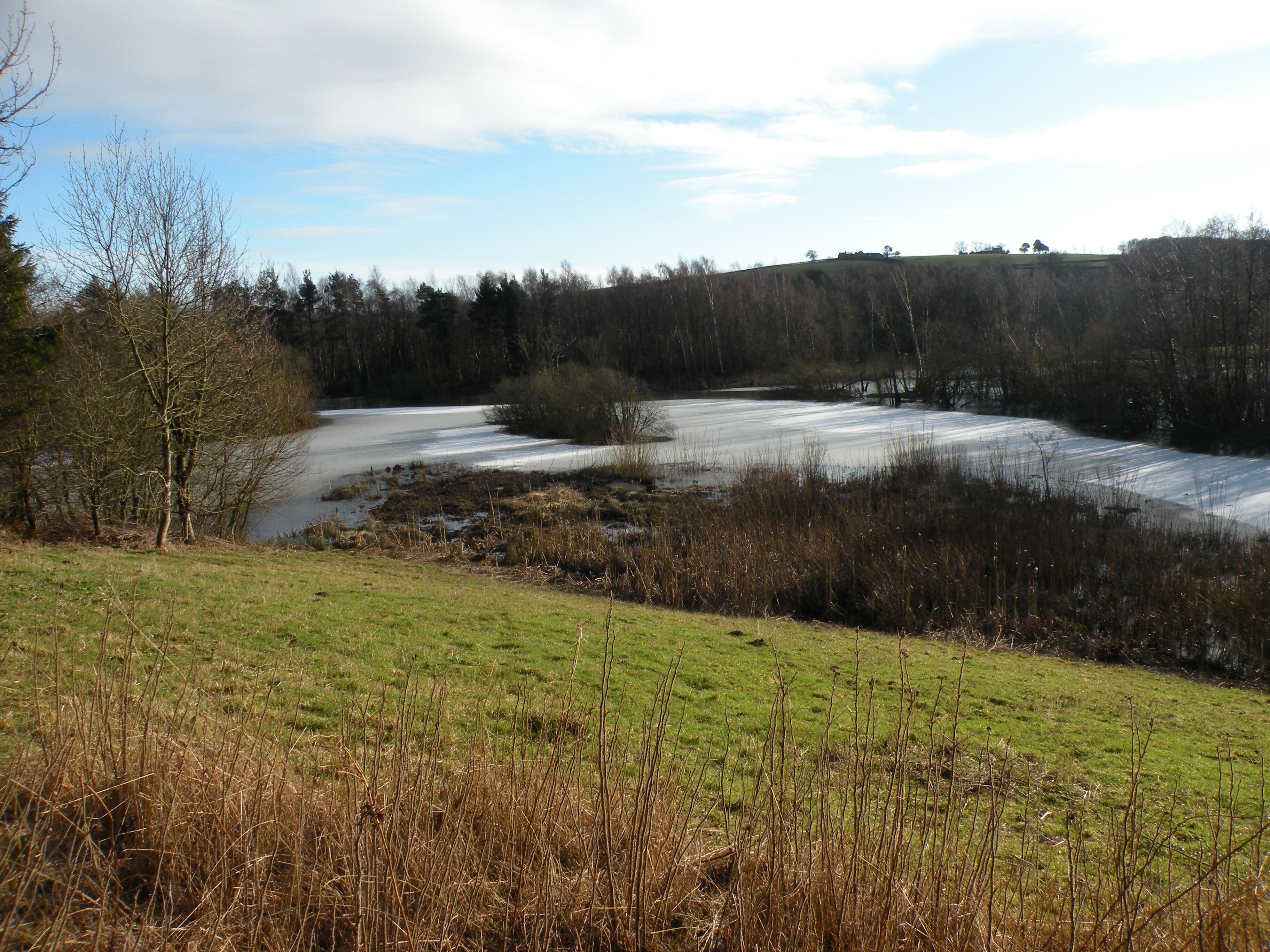 Brandon Marsh nature reserve - Wikipedia