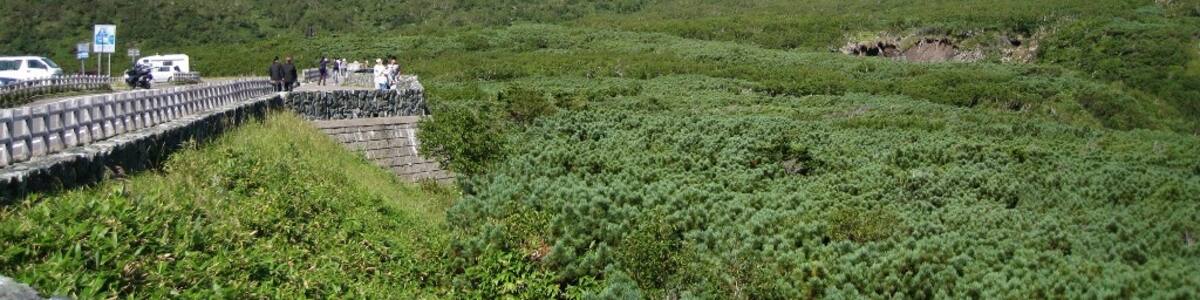 Photo "羅臼岳~知床峠" by shinohal (Creative Commons Attribution-Share Alike 3.0) / Cropped from original