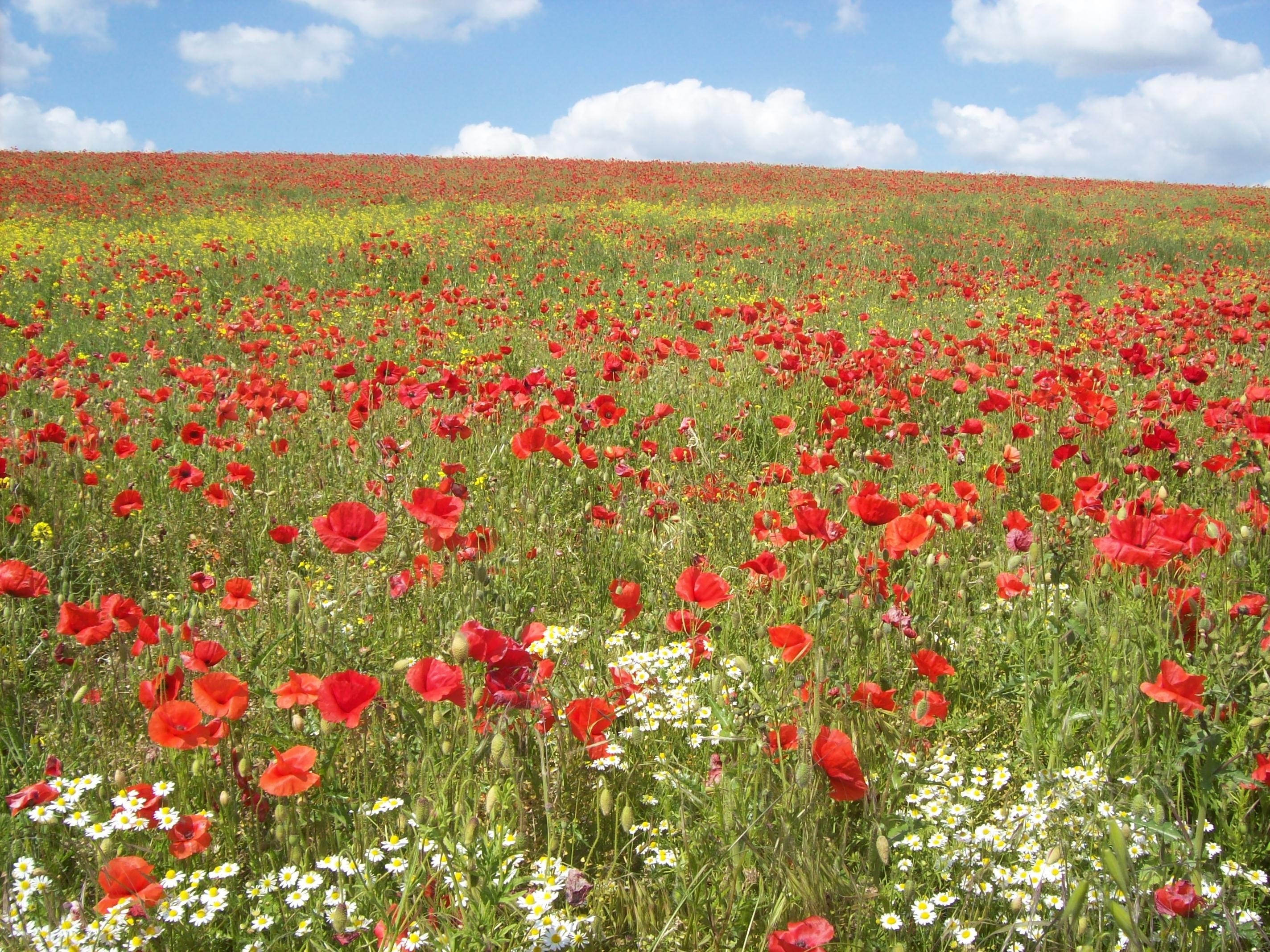 Foto ‘Greasley’ van Chris Page (CC BY-SA) / bijgesneden versie van origineel