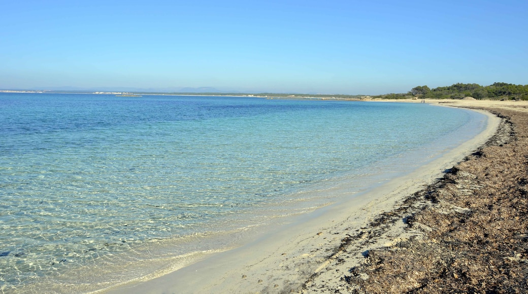 Bildet «Playa D'es Moli de S'Estany» tatt av mateu mulet (CC BY) / originalbilde beskjært