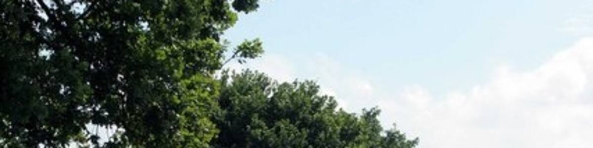 Photo "The road to Oakley" by roger geach (Creative Commons Attribution-Share Alike 2.0) / Cropped from original