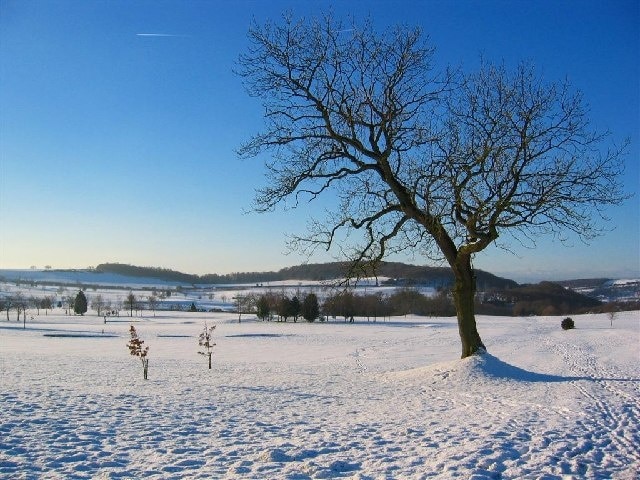 Boxing Day Snow on Frodsham Golf Course. This photo was taken on the Golf Course at 10:25 after a fresh fall of snow. The view is westwards towards Snidley Moor.