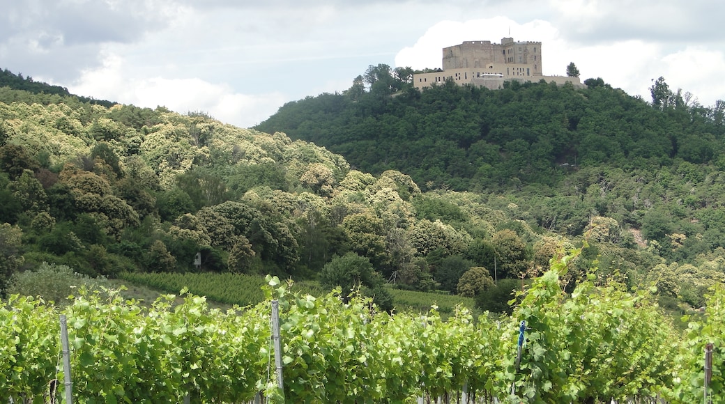 Foto ‘Hambach-kasteel’ van Dr. Manfred Holz (CC BY-SA) / bijgesneden versie van origineel