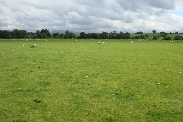 River Belah meadows, looking towards Wild Boar Fell