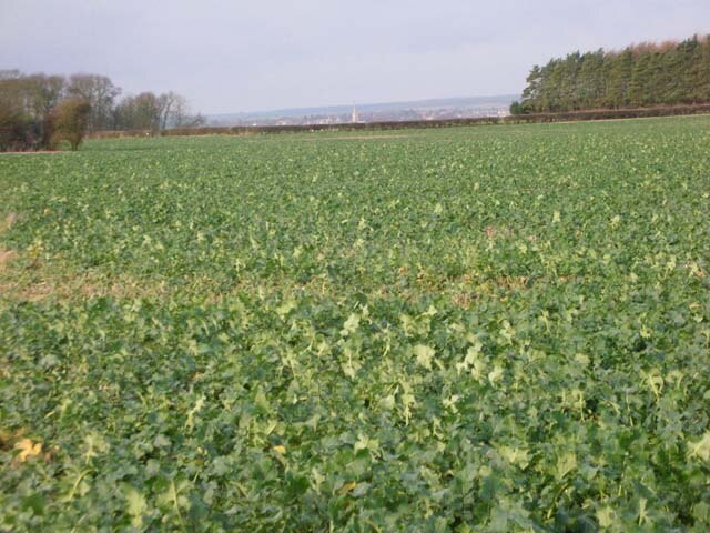 Foto “Polebrook” tomada por Will Lovell (CC BY-SA); recorte de la original