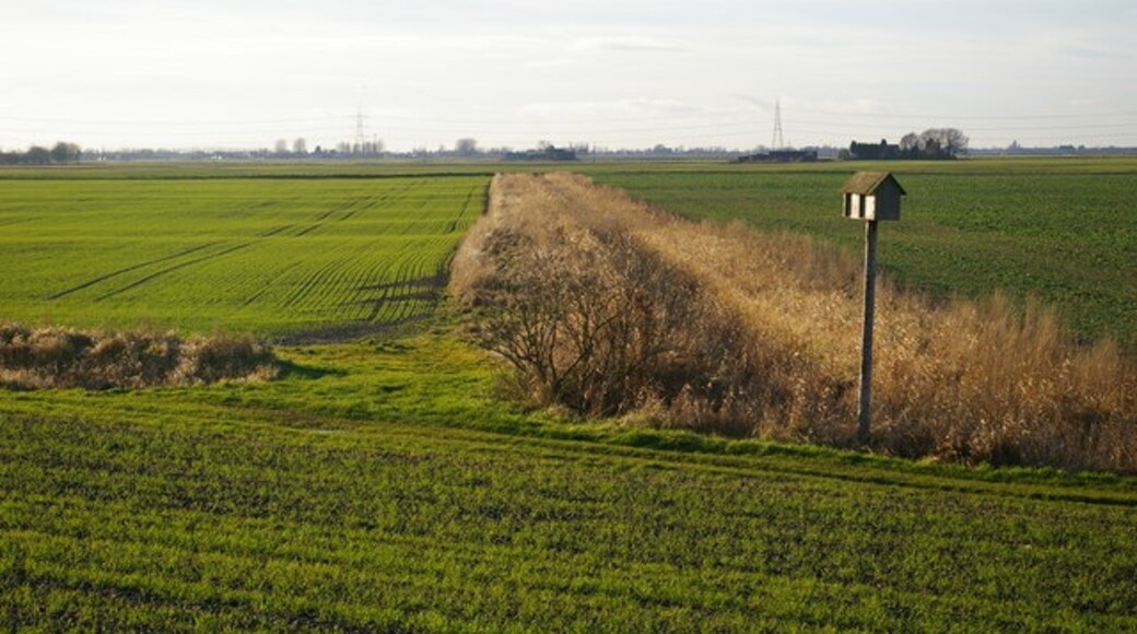 "Marshland St James"-foto av Ben Harris (CC BY-SA) / Urklipp från original