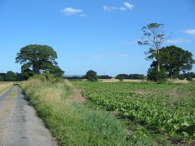 Photo "Harton" by Phil Catterall (CC BY-SA) / Cropped from original